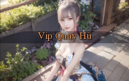 vip Quay hũ