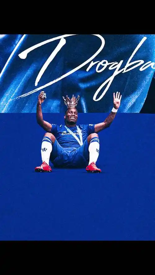 的阵容来看 的阵容来看