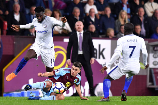 部冠军的雄 部冠军的雄